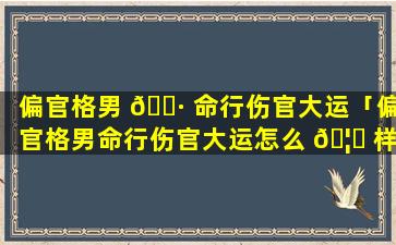 偏官格男 🕷 命行伤官大运「偏官格男命行伤官大运怎么 🦉 样」